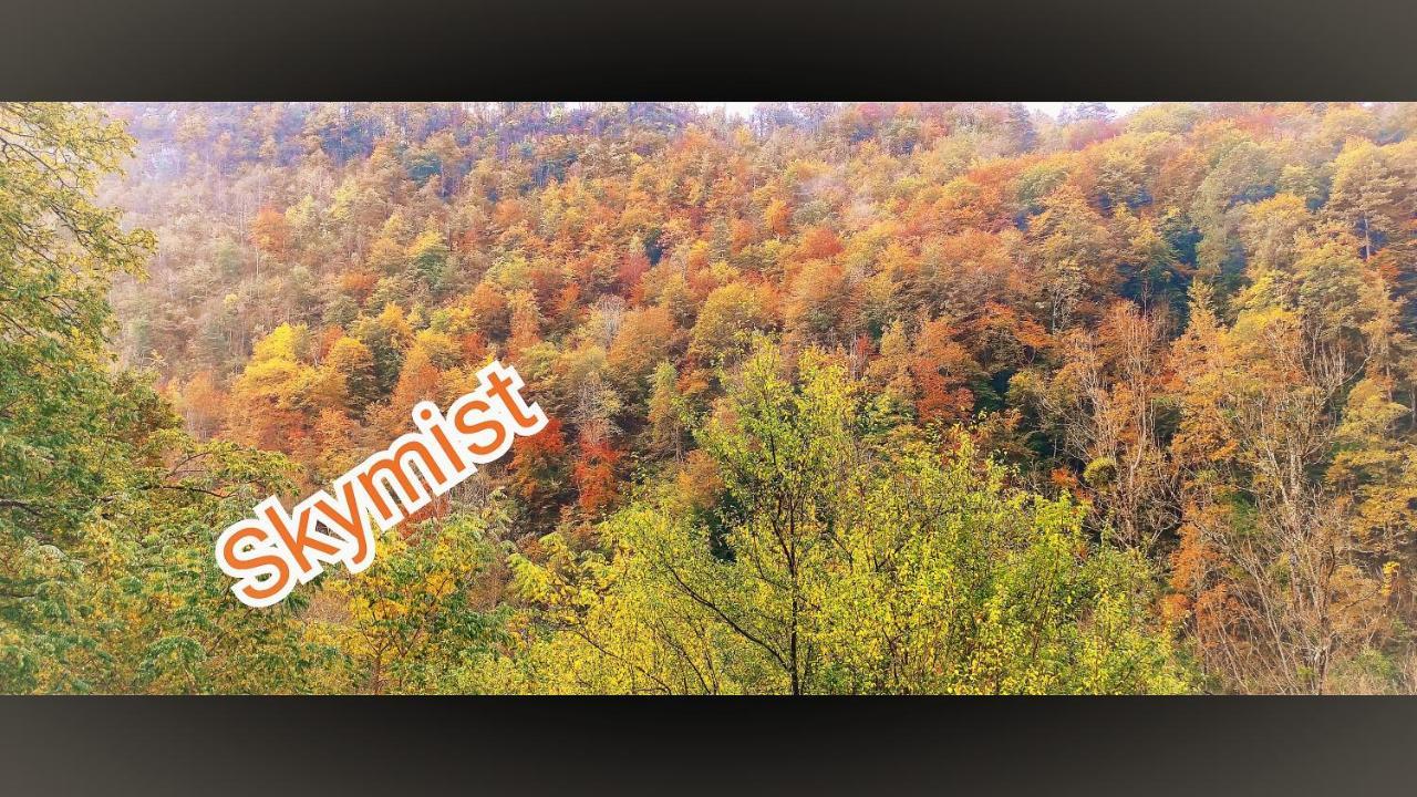 Skymist Maison D'Hotes Biert Екстер'єр фото